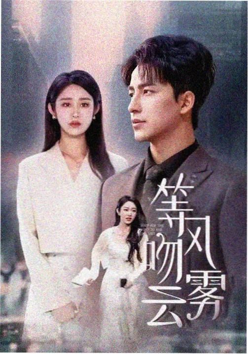 青春电视剧海报